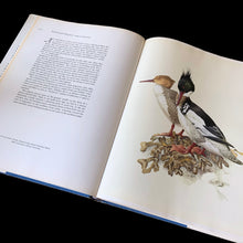 Load image into Gallery viewer, Vintage hardcover book Birds of the Northern Forest, paintings by J.F. Lansdowne and text by John A. Livingston. A wonderful collection of Fenwick Lansdowne's highly acclaimed ornithological artwork. Published by McClennan & Stewart, Canada (printed in Italy), 1967 edition.