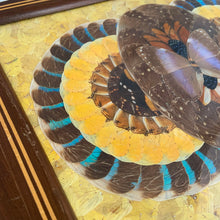 Load image into Gallery viewer, Rare vintage tone-on-tone wood inlaid handled tray with an artfully assembled geometric pattern of iridenscent colourful Morpho butterfly wings under glass. Crafted by artist Daniel Teixeira, Brazil, late 19th and early 20th century. This stunning indigenous folkart tray is sure to become your home's conversation piece!
In excellent vintage condition with typical age-related wear.
Measures 18 1/4 x 11 x 1 1/2 inches