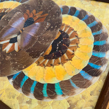 Load image into Gallery viewer, Rare vintage tone-on-tone wood inlaid handled tray with an artfully assembled geometric pattern of iridenscent colourful Morpho butterfly wings under glass. Crafted by artist Daniel Teixeira, Brazil, late 19th and early 20th century. This stunning indigenous folkart tray is sure to become your home's conversation piece!
In excellent vintage condition with typical age-related wear.
Measures 18 1/4 x 11 x 1 1/2 inches