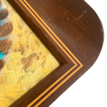 Load image into Gallery viewer, Rare vintage tone-on-tone wood inlaid handled tray with an artfully assembled geometric pattern of iridenscent colourful Morpho butterfly wings under glass. Crafted by artist Daniel Teixeira, Brazil, late 19th and early 20th century. This stunning indigenous folkart tray is sure to become your home's conversation piece!
In excellent vintage condition with typical age-related wear.
Measures 18 1/4 x 11 x 1 1/2 inches