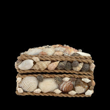 Load image into Gallery viewer, Side angle of Cayman Islands shell art box showing 3.25 inch height and genuine shell texture on all surfaces