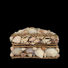 Load image into Gallery viewer, Opposite side angle of Cayman Islands shell art box showing 3.25 inch height and genuine shell texture on all surfaces