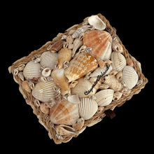 Load image into Gallery viewer, Overhead top view of Vintage Cayman Islands shell art trinket box with lid closed, showing genuine shells covering wooden surface and signed Cayman Islands marking