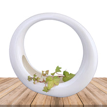 Load image into Gallery viewer, Vintage retro art deco style circular ceramic planter finished in glossy white glaze and felted bottom. Crafted by Sedan Manufacturing, Canada, circa 1980s. Nestle in a few of your favourite plants or succulents to create a lovely container garden or put together a sweet holiday display with bottle brush Christmas trees and ornaments.