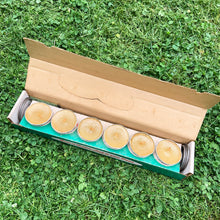 Load image into Gallery viewer, Retro insect control hits your patio with these vintage citronella candles in aluminum foil tins that sit comfortably in individual metal stands. Manufactured by F. Baillargeon Ltd., Canada, circa 1950s. This Montreal based company has been producing candles since 1896! New in box with six candles and six holders, plus instructions for use.