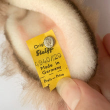 Load image into Gallery viewer, Jacks Daughter of All Trades Vintage Antique Mid-Century Kitsch Store Shop Reseller Etsy Shopify Toronto Canada Free Porch Pick Up Local Delivery Worldwide Shipping Judy Weinberg Unique Sustainable Gift Home Decor Collectible Collector Stuffed Animal Tan Light Brown Bunny Rabbit Jointed Steiff Germany Farmhouse Cottage Core Shabby Chic Nursery Children Toy Limited Edition EAN 494020