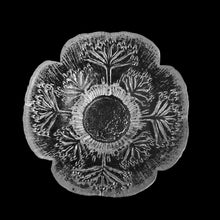 Load image into Gallery viewer, Vintage Cow Parsley clear art glass votive candle holder featuring a textured design of plant sprigs and seeds. Designed by Pertii Kallioinen for Lasisepat Mantsala, Finland, 1970s. Add a little Finnish design style to your home decor with this striking design!
In excellent condition, free from chips.
5 x 3 inches