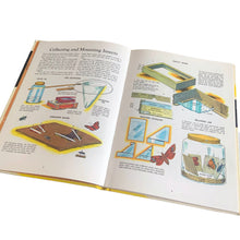 Load image into Gallery viewer, Vintage mid-century The Golden Book of Crafts and Hobbies, hardcover book. Beautifully illustrated in colour, this is not your average "craft" book. Its 104 pages contains a range advanced nature camp type projects to be completed independently or with adult supervision. Written by W. Ben Hunt and published by Western Publishing, USA, copyright 1957. This is the sixteenth edition printed in 1972. The bound book is in excellent condition. Previous owners name marked in pen (see photos).