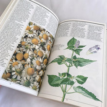 Load image into Gallery viewer, Jacks Daughter of All Trades Vintage Antique Retro Mid-Century Modern Kitsch Store Shop Reseller Etsy Shopify Toronto Canada Free Porch Pick Up Local Delivery Worldwide Shipping Judy Weinberg Unique Housewarming Hostess Sustainable Gift Home Decor Collectible Collector Mothers Day Farmhouse Cottage Core Shabby Chic Garden Hobby Nature Herbology Herbalist