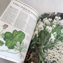 Load image into Gallery viewer, Vintage The Harrowsmith Illustrated Book of Herbs softcover 175-page reference book is jam-packed with detailed information on cultivating and using herbs. Written by Patrick Lima and beautifully illustrated by Turid Forsyth for Camden House, Canada, 1986, fourth printing 1990. A superior reference book for the herb and gardening enthusiast! In excellent vintage condition, minor yellowing to the interior pages.