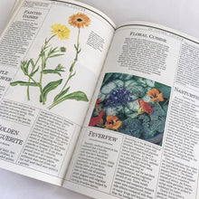 Load image into Gallery viewer, Vintage The Harrowsmith Illustrated Book of Herbs softcover 175-page reference book is jam-packed with detailed information on cultivating and using herbs. Written by Patrick Lima and beautifully illustrated by Turid Forsyth for Camden House, Canada, 1986, fourth printing 1990. A superior reference book for the herb and gardening enthusiast! In excellent vintage condition, minor yellowing to the interior pages.