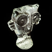 Load image into Gallery viewer, This vintage clear glass owl paperweight figurine is the larger version of Bertil Vallien's Zoo Series for Kosta Boda, Sweden, circa 1975. There are forty different pieces in this series....start your collection with this stunning piece of art glass. In excellent condition, free from chips/cracks/repairs. Measures 4 x 4 3/4 inches