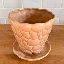 Load image into Gallery viewer, Striking vintage gloss peach pebble planter pot with attached saucer. Crafted by McCoy Pottery, 1950s. This rare planter is must for any McCoy art pottery collector!
In as found vintage condition, no chips, interior tight hairline crack, crazing. Marked 303 and 5 on the bottom.
Measures 5 1/2 x 5 1/4 inches
