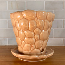 Load image into Gallery viewer, Vintage gloss peach pebble planter pot with attached saucer. Crafted by McCoy Pottery, 1950s. This rare planter is must for any McCoy art pottery collector!
In as found vintage condition, no chips, interior tight hairline crack, crazing. Marked 303 and 5 on the bottom.
Measures 5 1/2 x 5 1/4 inches