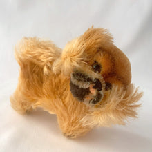 Load image into Gallery viewer, Vintage Peky Pekingese dog stuffed animal features orange amber mohair. He has a jointed head, hand embroidered black nose and mouth, brown glass eyes with black pupils. On its neck is a red ribbon with the original round red, blue and yellow tag bearing the name Peky. Ear has Steiff's silver script button, with remnants of the yellow tag. Crafted by Steiff, Germany 1959 - 1964. A must-have for any Steiff or stuffie collector! In excellent condition. Measures 4 inches or 10cm tall