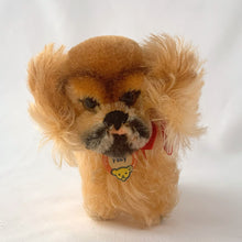 Load image into Gallery viewer, Vintage Peky Pekingese dog stuffed animal features orange amber mohair. He has a jointed head, hand embroidered black nose and mouth, brown glass eyes with black pupils. On its neck is a red ribbon with the original round red, blue and yellow tag bearing the name Peky. Ear has Steiff's silver script button, with remnants of the yellow tag. Crafted by Steiff, Germany 1959 - 1964. A must-have for any Steiff or stuffie collector! In excellent condition. Measures 4 inches or 10cm tall