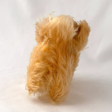 Load image into Gallery viewer, Vintage Peky Pekingese dog stuffed animal features orange amber mohair. He has a jointed head, hand embroidered black nose and mouth, brown glass eyes with black pupils. On its neck is a red ribbon with the original round red, blue and yellow tag bearing the name Peky. Ear has Steiff's silver script button, with remnants of the yellow tag. Crafted by Steiff, Germany 1959 - 1964. A must-have for any Steiff or stuffie collector! In excellent condition. Measures 4 inches or 10cm tall