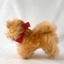 Load image into Gallery viewer, Vintage Peky Pekingese dog stuffed animal features orange amber mohair. He has a jointed head, hand embroidered black nose and mouth, brown glass eyes with black pupils. On its neck is a red ribbon with the original round red, blue and yellow tag bearing the name Peky. Ear has Steiff's silver script button, with remnants of the yellow tag. Crafted by Steiff, Germany 1959 - 1964. A must-have for any Steiff or stuffie collector! In excellent condition. Measures 4 inches or 10cm tall