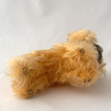Load image into Gallery viewer, Vintage Peky Pekingese dog stuffed animal features orange amber mohair. He has a jointed head, hand embroidered black nose and mouth, brown glass eyes with black pupils. On its neck is a red ribbon with the original round red, blue and yellow tag bearing the name Peky. Ear has Steiff's silver script button, with remnants of the yellow tag. Crafted by Steiff, Germany 1959 - 1964. A must-have for any Steiff or stuffie collector! In excellent condition. Measures 4 inches or 10cm tall