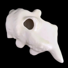 Load image into Gallery viewer, Back side of white ceramic sculpture of a cat on a black background