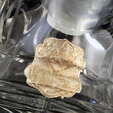 Load image into Gallery viewer, Vintage cut crystal liquor square decanter featuring a pattern of pinwheels and starbursts. Crafted in Germany, circa 1950s. Add this eye catching crystal to your bar cart!
In excellent condition, no chips. Minor wear to the stopper's end. Original sticker.
Measures 3 x 3 x 8 3/4 inches
Capacity 1 pint or 500ml