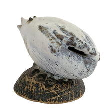 Load image into Gallery viewer, Left side view of Tessa Kidick studio pottery bird sculpture, showing hand-modelled beak and tail details, white and charcoal speckled glaze on dark stoneware base, Canada 1970s