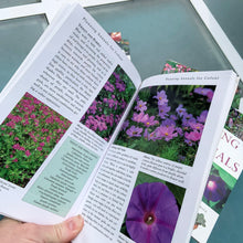 Load image into Gallery viewer, Jacks Daughter of All Trades Vintage Antique Retro Mid-Century Modern Kitsch Store Shop Reseller Etsy Shopify Toronto Canada Free Porch Pick Up Local Delivery Worldwide Shipping Judy Weinberg Unique Housewarming Hostess Sustainable Gift Home Decor Collectible Collector Mothers Day Farmhouse Cottage Core Shabby Chic Garden Hobby Nature
