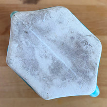 Load image into Gallery viewer, Jacks Daughter of All Trades Vintage Antique Mid-Century Kitsch Store Shop Reseller Etsy Shopify Toronto Canada Free Porch Pick Up Local Delivery Worldwide Shipping Judy Weinberg Unique Housewarming Gift Sustainable Gift Wedding Gift Home Decor Collectible Collector Gift Farmhouse Cottagecore Cottage Lodge Shabby Chic Industrial Hollywood Regency Art Deco Art Nouveau turquoise vase 105 double leaf decorative handles McCoy Pottery 1940s rare art pottery
