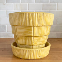 Load image into Gallery viewer, Highly collectible vintage mid-century yellow basketweave ceramic art pottery planter with attached underplate. Crafted by McCoy Pottery, 1950s. The perfect home for your favourite houseplant or succulent!
In excellent vintage condition, no chips/cracks/repairs, age-related crazing. Maker's mark.
Measures 6 3/8 x 5 1/2 inches