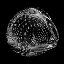 Load image into Gallery viewer, Adorable vintage mid-century hand blown clear glass owl paperweight with bullicante or controlled bubbles. Designed by Murano trained brothers, Alessandro and Roberto Moretti, crafted for Pilgrim Glass, USA, 1950s.
In excellent condition, no chips.
Measures 2 7/8 x 3 inches