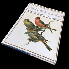 Load image into Gallery viewer, Vintage hardcover book Birds of the Northern Forest, paintings by J.F. Lansdowne and text by John A. Livingston. A wonderful collection of Fenwick Lansdowne&#39;s highly acclaimed ornithological artwork. Published by McClennan &amp; Stewart, Canada (printed in Italy), 1967 edition.
