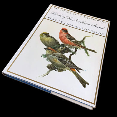 Vintage hardcover book Birds of the Northern Forest, paintings by J.F. Lansdowne and text by John A. Livingston. A wonderful collection of Fenwick Lansdowne's highly acclaimed ornithological artwork. Published by McClennan & Stewart, Canada (printed in Italy), 1967 edition.