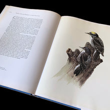 Load image into Gallery viewer, Vintage hardcover book Birds of the Northern Forest, paintings by J.F. Lansdowne and text by John A. Livingston. A wonderful collection of Fenwick Lansdowne&#39;s highly acclaimed ornithological artwork. Published by McClennan &amp; Stewart, Canada (printed in Italy), 1967 edition.
