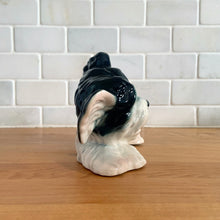 Load image into Gallery viewer, Vintage mid-century hand painted black and white playful Terrier puppy dog ceramic figurine. Crafted in Japan. Add some kitschy cuteness to your life!

In good vintage condition, very minor paint loss to the eyes, no chips/cracks/repairs, age-related crazing. Unmarked.

Measures 6 1/2 x 3 x 4 1/4 inches
