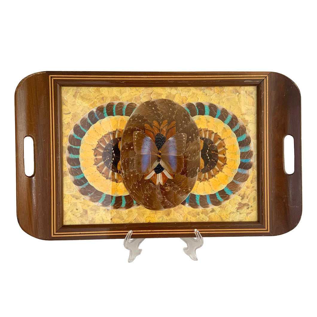 Rare vintage tone-on-tone wood inlaid handled tray with an artfully assembled geometric pattern of iridenscent colourful Morpho butterfly wings under glass. Crafted by artist Daniel Teixeira, Brazil, late 19th and early 20th century. This stunning indigenous folkart tray is sure to become your home's conversation piece!

In excellent vintage condition with typical age-related wear.

Measures 18 1/4 x 11 x 1 1/2 inches