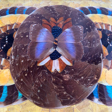 Load image into Gallery viewer, Rare vintage tone-on-tone wood inlaid handled tray with an artfully assembled geometric pattern of iridenscent colourful Morpho butterfly wings under glass. Crafted by artist Daniel Teixeira, Brazil, late 19th and early 20th century. This stunning indigenous folkart tray is sure to become your home&#39;s conversation piece!

In excellent vintage condition with typical age-related wear.

Measures 18 1/4 x 11 x 1 1/2 inches

