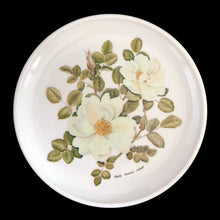 Load image into Gallery viewer, Close-up of Sheila Mannes-Abbott botanical floral artwork on Praesidium melamine coaster, Ornamin England 1970s
