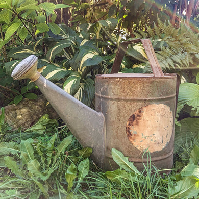 Vintage galvanized metal watering can complete with rose. Made in Canada, 1940s.  In good vintage condition.  Overall measurements 20 3/4 x 10 x 15 1/4 inches, body measures 10 x 11 1/2 inches and holds approximately 2 gallons.