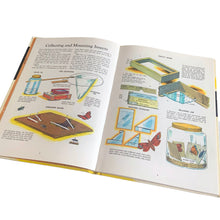 Load image into Gallery viewer, Vintage mid-century The Golden Book of Crafts and Hobbies, hardcover book. Beautifully illustrated in colour, this is not your average &quot;craft&quot; book. Its 104 pages contains a range advanced nature camp type projects to be completed independently or with adult supervision. Written by W. Ben Hunt and published by Western Publishing, USA, copyright 1957. This is the sixteenth edition printed in 1972. The bound book is in excellent condition. Previous owners name marked in pen (see photos).
