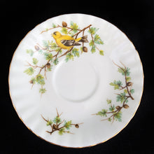 Load image into Gallery viewer, This vintage bone china footed teacup and saucer is so sweet! Both the cup and saucer are decorate with the &quot;Goldfinch&quot; pattern from the Woodland Series. Each piece has a lovely scalloped edge featuring a hand painted goldfinch bird with spruce boughs, trimmed with gold gilt. Produced by Royal Albert, England, circa 1917 - 1927.  In excellent condition, free from chips, cracks and repairs. Maker&#39;s marks are on the bottom.   Teacup measures 3 3/8 x 2 3/4 inches  | Saucer measures 5 1/4 inches
