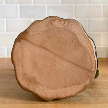 Load image into Gallery viewer, Jacks Daughter of All Trades Vintage Antique Mid-Century Retro Store Shop Reseller Etsy Shopify Toronto Canada Free Porch Pick Up Local Delivery Worldwide Shipping Judy Weinberg Unique Housewarming Gift Sustainable Gift Wedding Gift Home Decor Collectible Collector Gift Farmhouse Cottagecore Cottage Lodge Shabby Chic Industrial green drip glaze woodland mushroom tree trunk pitcher Evangeline Pottery Canada 1960s kitchen home decor
