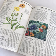 Load image into Gallery viewer, Vintage The Harrowsmith Illustrated Book of Herbs softcover 175-page reference book is jam-packed with detailed information on cultivating and using herbs. Written by Patrick Lima and beautifully illustrated by Turid Forsyth for Camden House, Canada, 1986, fourth printing 1990. A superior reference book for the herb and gardening enthusiast!  In excellent vintage condition, minor yellowing to the interior pages.   
