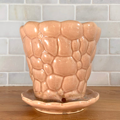 Striking vintage gloss peach pebble planter pot with attached saucer. Crafted by McCoy Pottery, 1950s. This rare planter is must for any McCoy art pottery collector!

In as found vintage condition, no chips, interior tight hairline crack, crazing. Marked 303 and 5 on the bottom.

Measures 5 1/2 x 5 1/4 inches