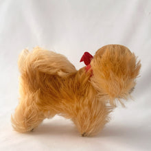 Load image into Gallery viewer, Vintage Peky Pekingese dog stuffed animal features orange amber mohair. He has a jointed head, hand embroidered black nose and mouth, brown glass eyes with black pupils. On its neck is a red ribbon with the original round red, blue and yellow tag bearing the name Peky. Ear has Steiff&#39;s silver script button, with remnants of the yellow tag. Crafted by Steiff, Germany 1959 - 1964. A must-have for any Steiff or stuffie collector! In excellent condition. Measures 4 inches or 10cm tall
