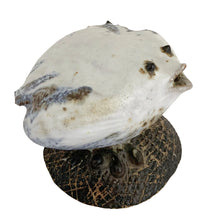 Load image into Gallery viewer, Elevated angled view of Tessa Kidick studio pottery bird sculpture showing rounded white and grey glazed body with hand-modelled wing and tail details, Canada 1970s
