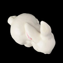 Load image into Gallery viewer, Overhead view using bunny/rabbit variation for broader search coverage
