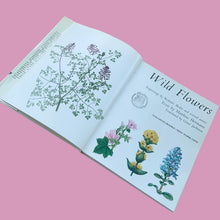 Load image into Gallery viewer, Wild Flowers hardcover book by Matthias Hermann, Galahad Books 1973 — interior page showing botanical illustration title design, vintage condition
