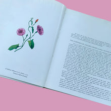 Load image into Gallery viewer, Wild Flowers hardcover book by Matthias Hermann, Galahad Books 1973 — interior page showing botanical illustration and introduction
