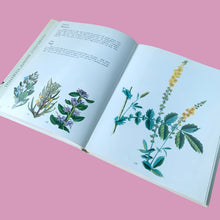 Load image into Gallery viewer, Open spread of Wild Flowers 1973 hardcover showing colour botanical engravings of Agrimony and Bugle wildflowers with descriptive text
