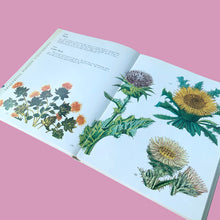 Load image into Gallery viewer, Open spread of Wild Flowers 1973 hardcover showing colour botanical engravings of Thistle and Carline Thistle — orange, purple and yellow flower varieties with spiny leaves
